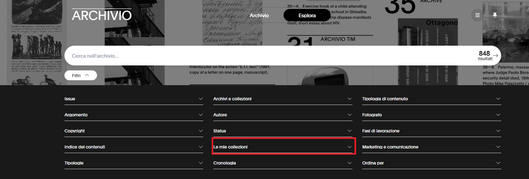 immagine filtro le mie collezioni